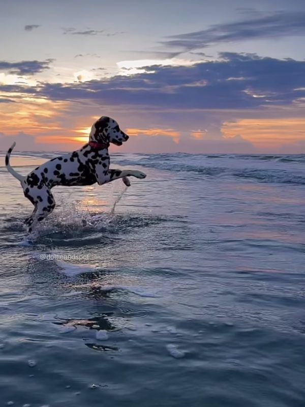 6D303479-2FD9-4B54-84CF-F268F252CDAA