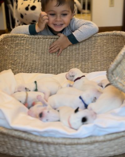 E8CB9150-A4B0-4555-A3AC-0E6BFB2DD621